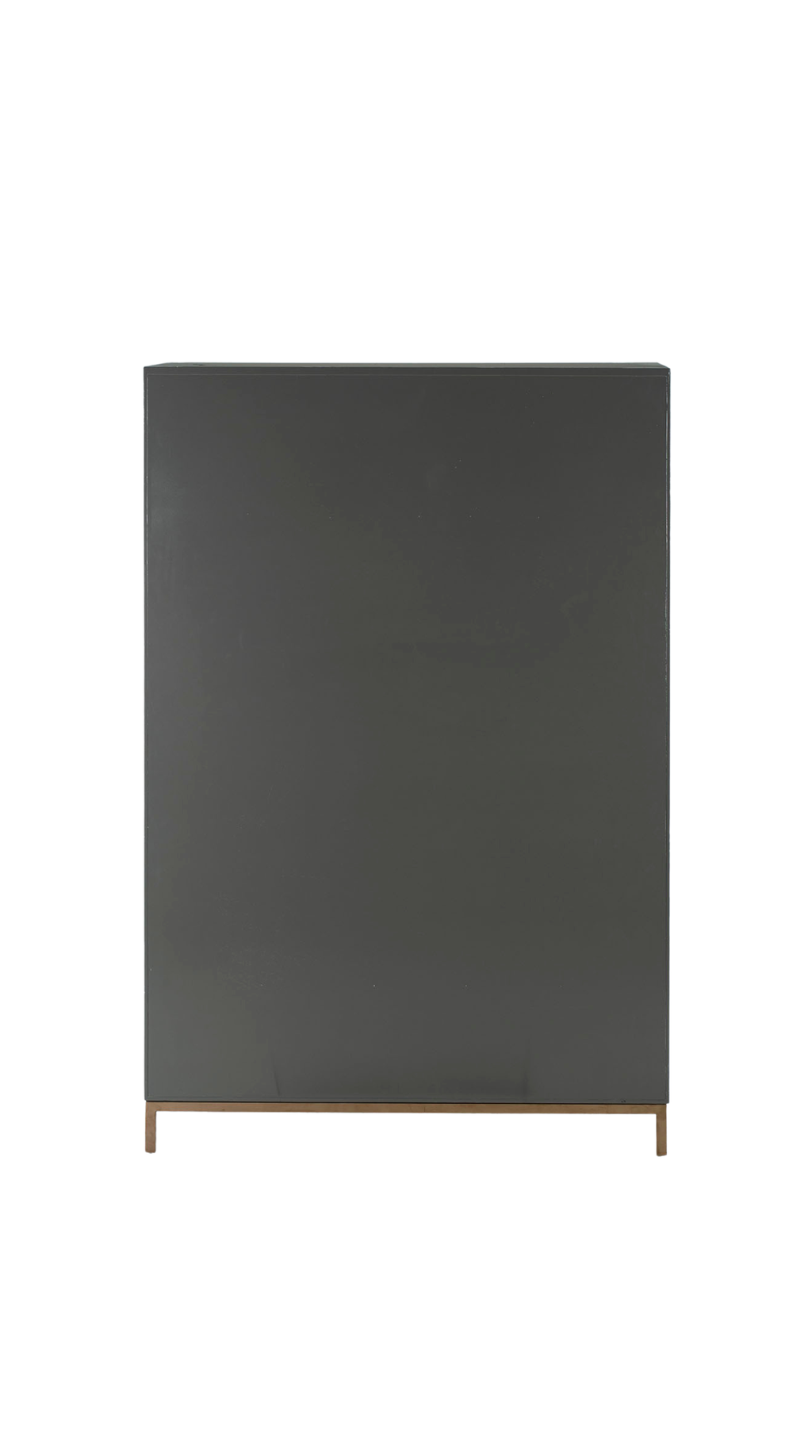 Shield Storage Cabinet