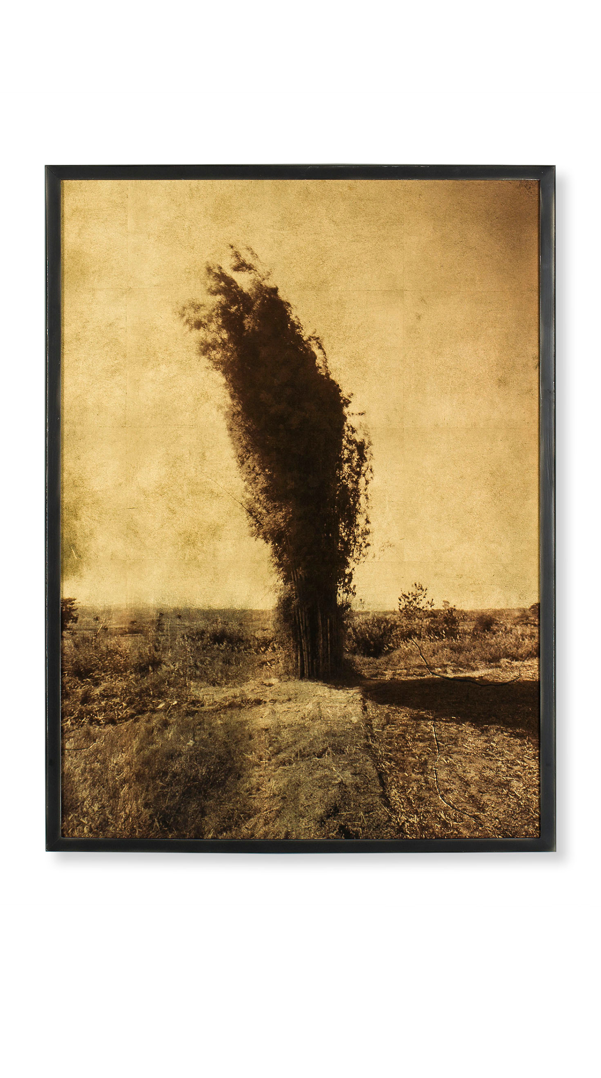 Bamboo - Gold Leaf Print