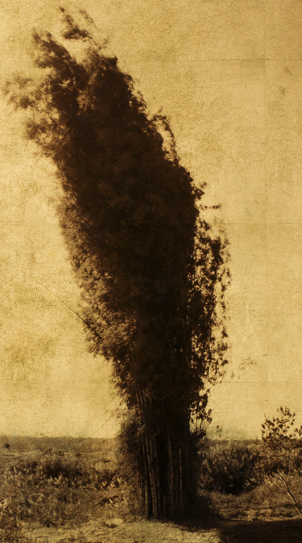Bamboo - Gold Leaf Print