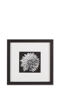Black Blossom - C