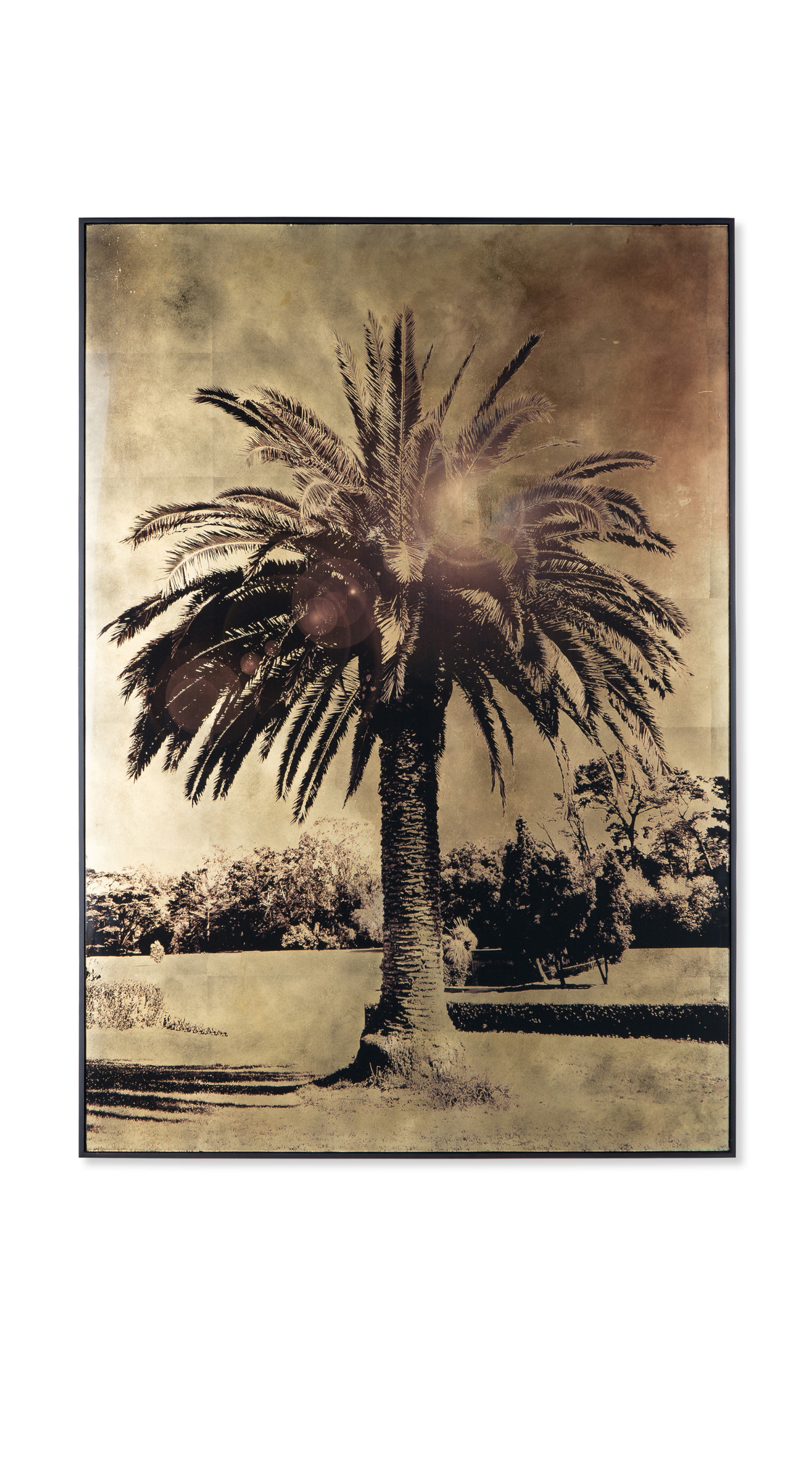 Gold Leaf Palm Tree - B