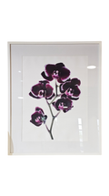 Orchid Photography