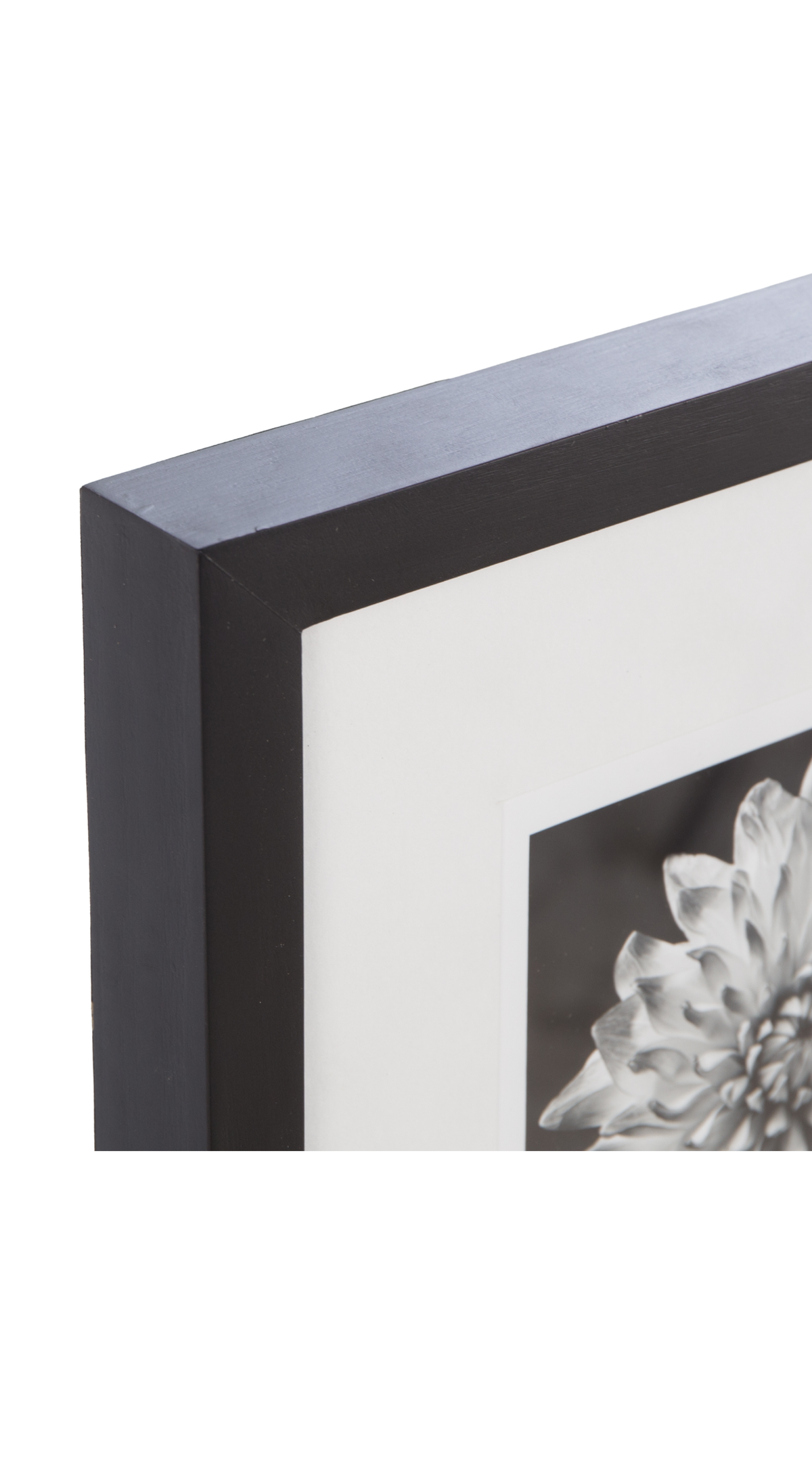 Black Blossom - C