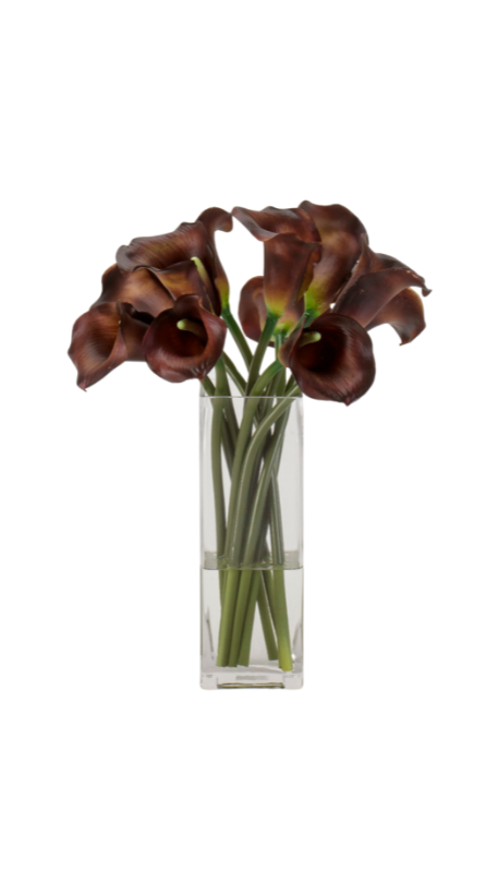 Burgundy Calla Lilies in Tall Square Vase