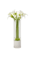 White Calla Lilies in Glass Vase