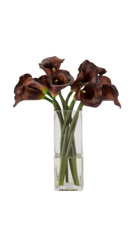 Burgundy Calla Lilies in Tall Square Vase