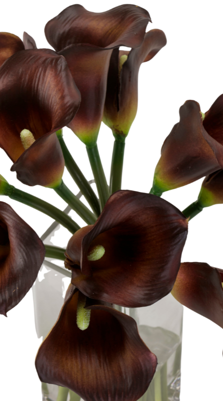 Burgundy Calla Lilies in Tall Square Vase