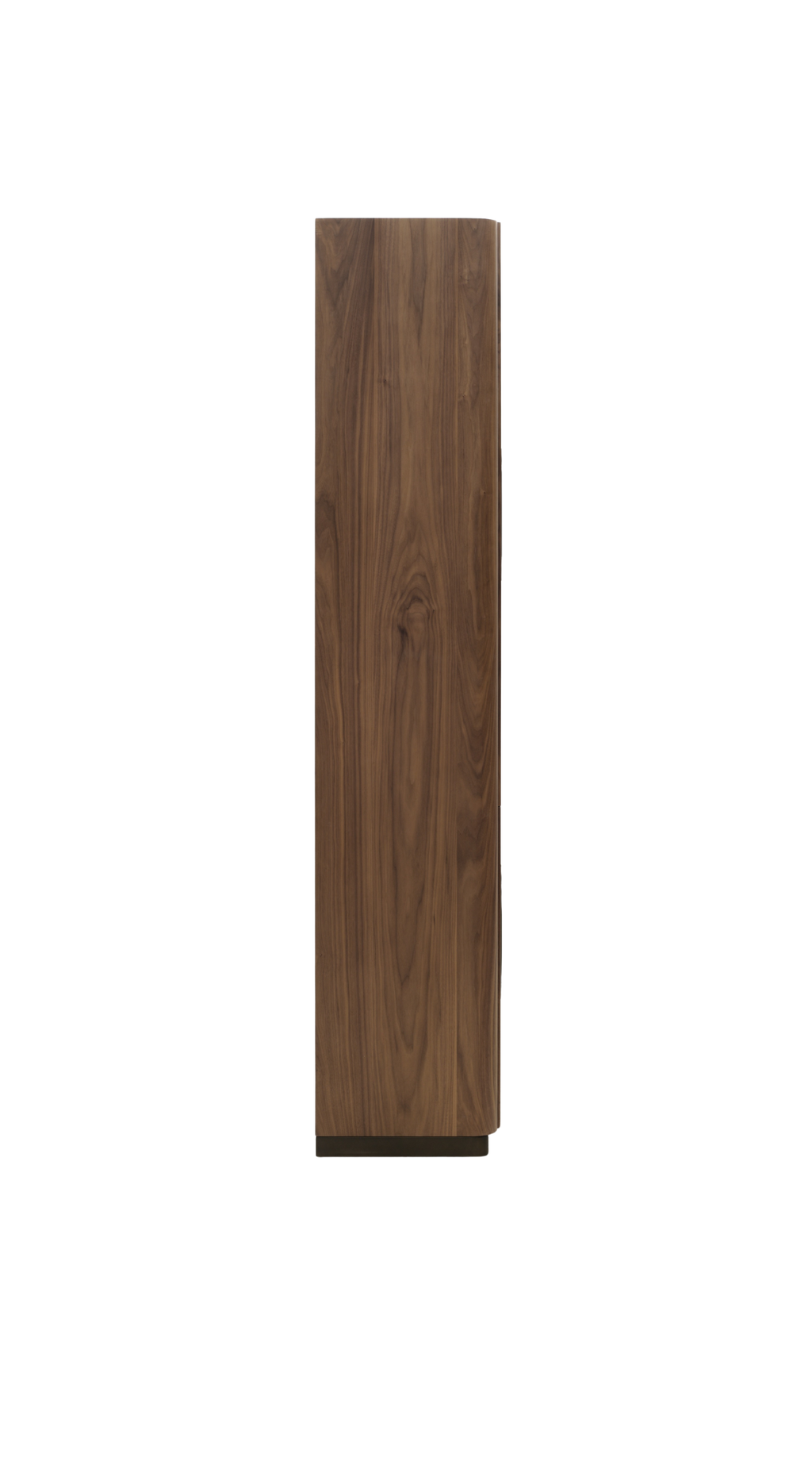 Piermont Cabinet - Tall, 2 Doors Cabinet
