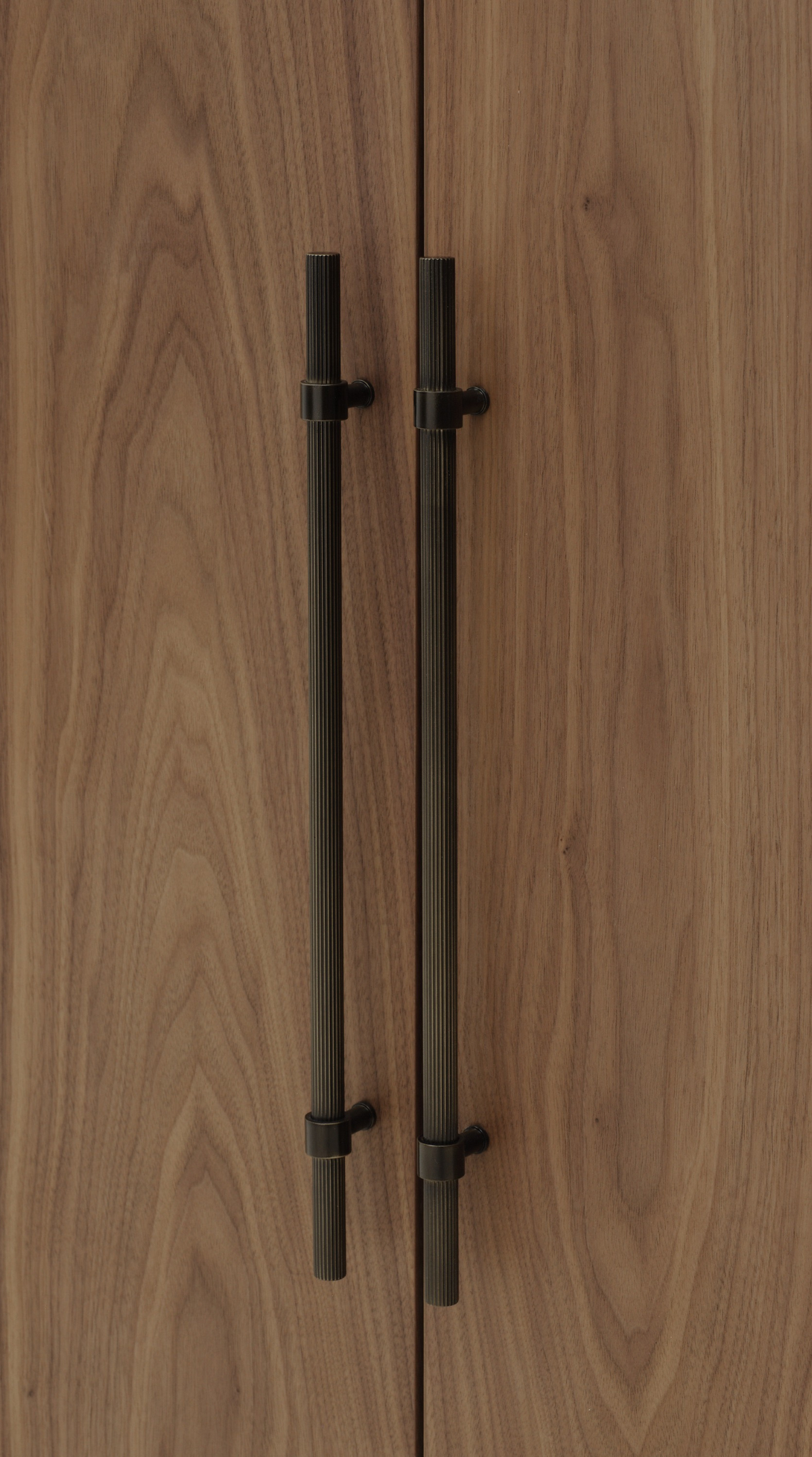 Piermont Cabinet - Tall, 2 Doors Cabinet