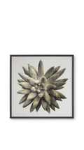 Gold Succulent A