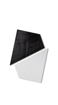 Reagan Hayes - Black & White Canvas