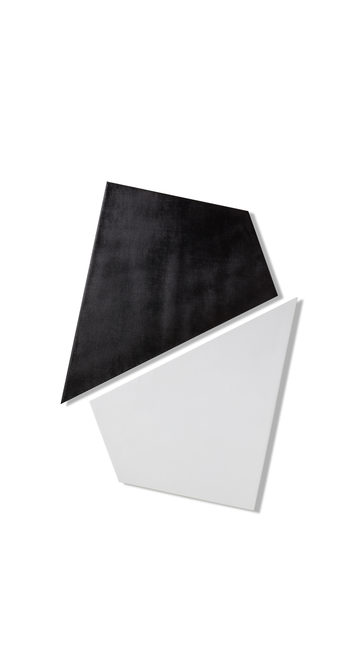 Reagan Hayes - Black & White Canvas